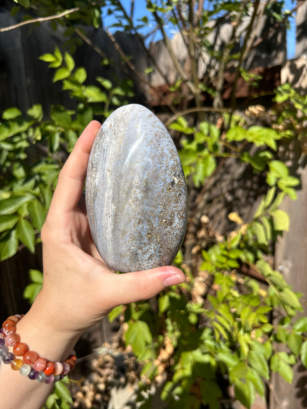 Sea Jasper free form