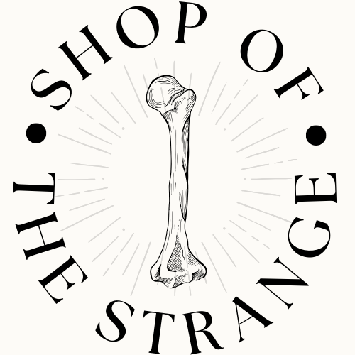 live familiar readings