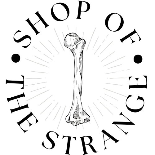 Shop of the Strange LLC