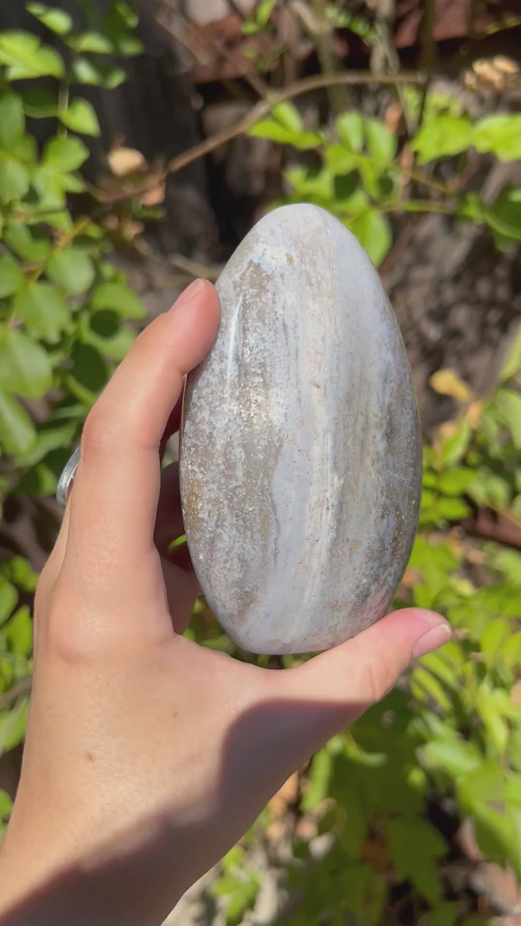 Sea Jasper free form